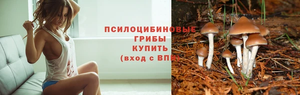 СК Каменногорск