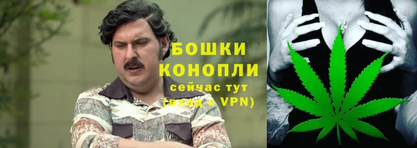 сатива Каменск-Шахтинский