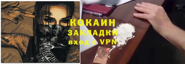 прущие крисы Каменка