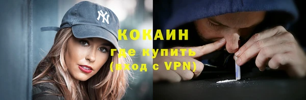 сатива Каменск-Шахтинский