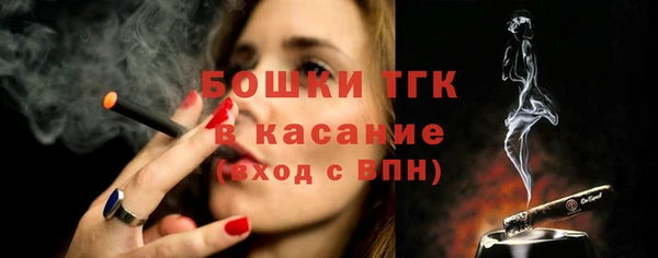 СК Каменногорск