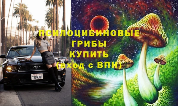 сатива Каменск-Шахтинский