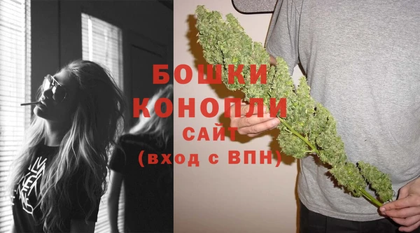 прущие крисы Каменка