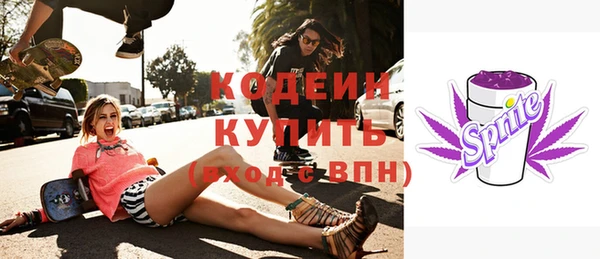 СК Каменногорск