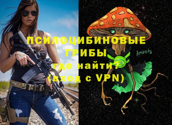 сатива Каменск-Шахтинский