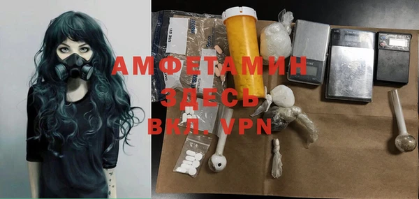 сатива Каменск-Шахтинский