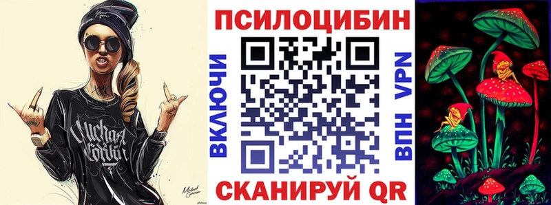 Галлюциногенные грибы Psilocybine cubensis  Купить  Завитинск 