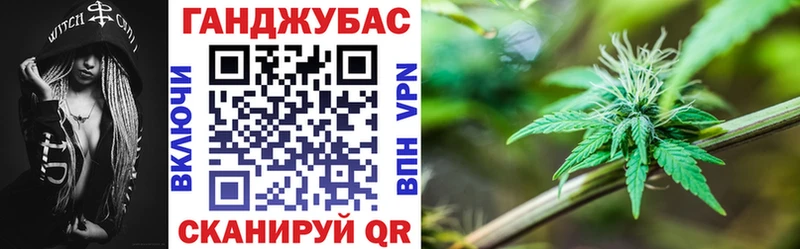 Шишки марихуана гибрид  Купить закладки  Завитинск 